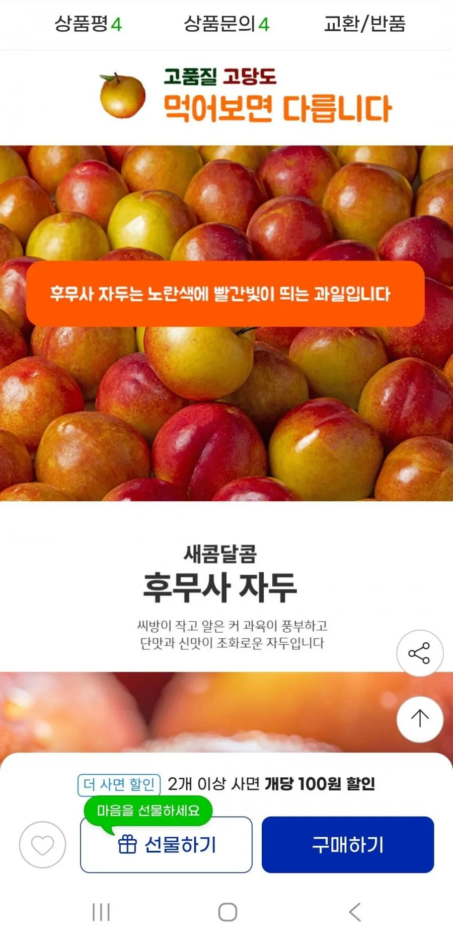 후무사 자두 5kg 2026년 첫 출하
