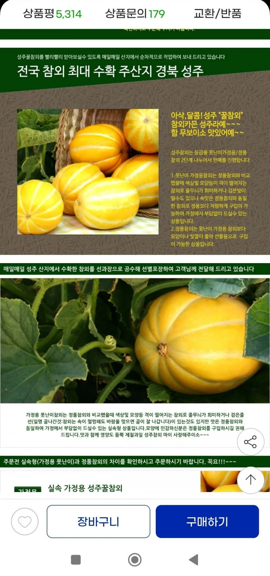 성주참외 10kg 혼합과실속가정용