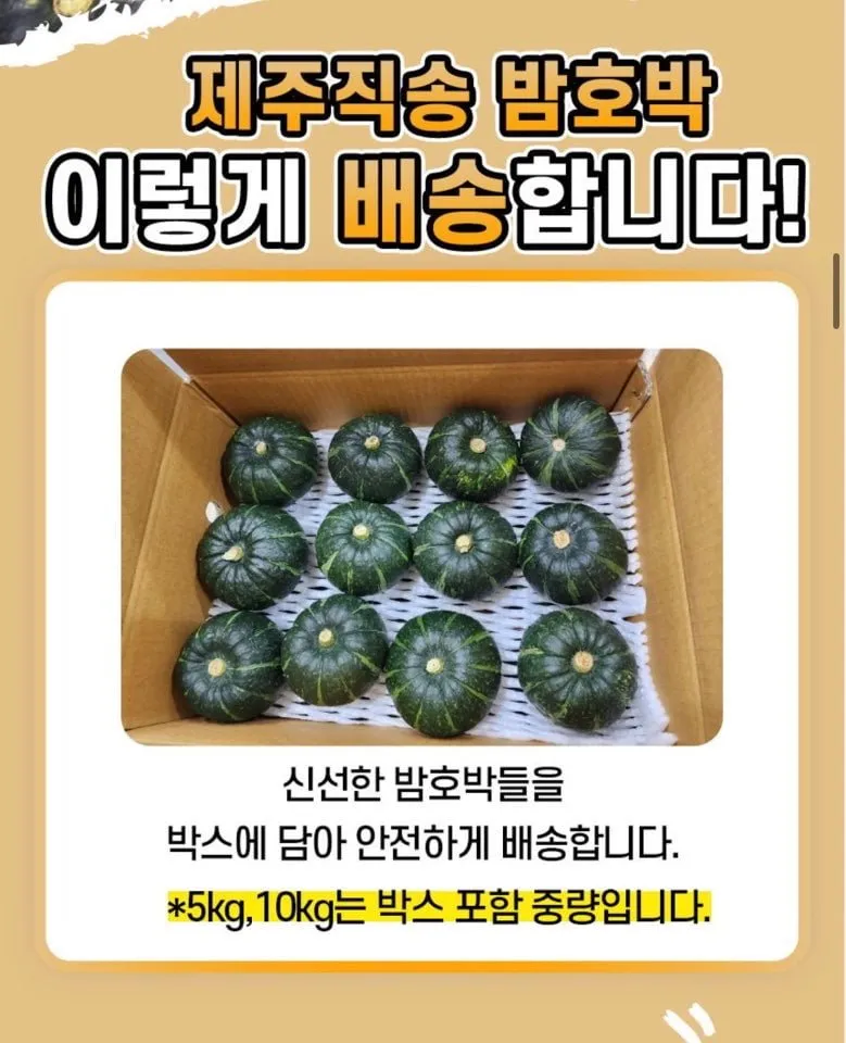 제주 미니 밤호박 보우짱 단호박 5kg