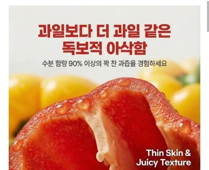 국내산 알록달록 파프리카 1kg
