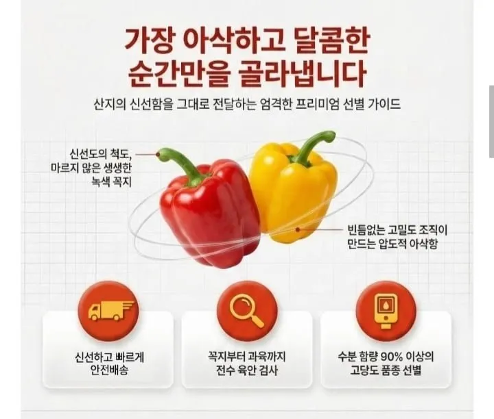 국내산 알록달록 파프리카 1kg