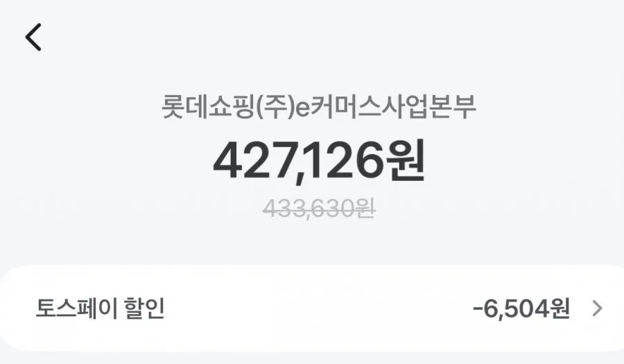 아이더 캄피로 대장급 초헤비 구스다운 (433,630원/무료) 토스