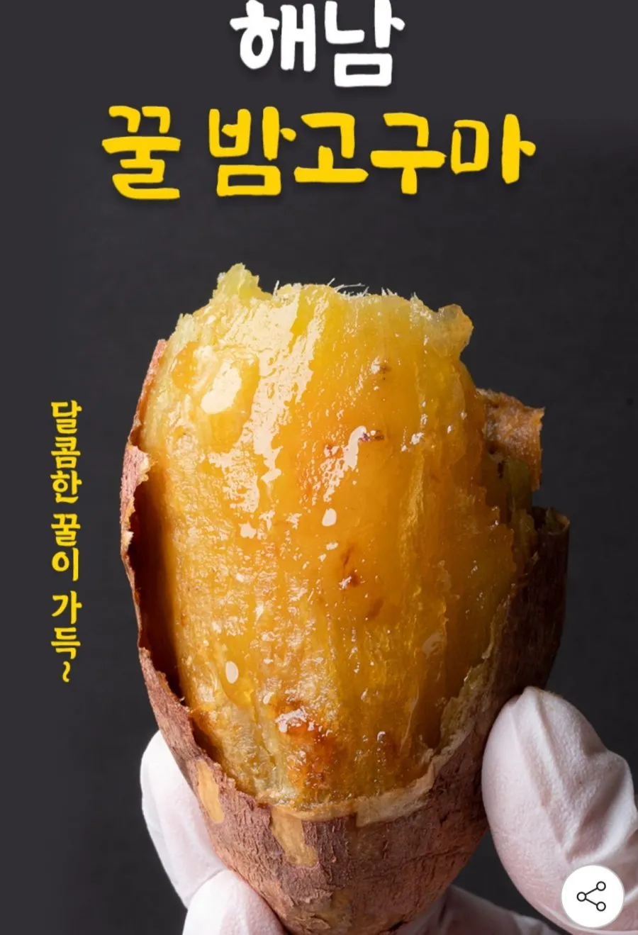 해남 꿀 고구마 베니하루카 3kg 특상