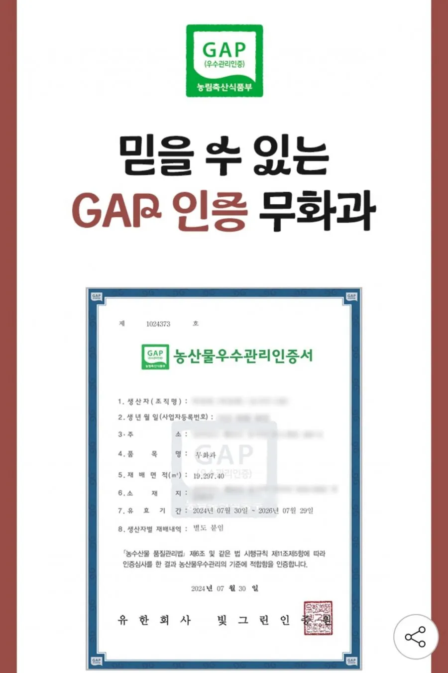친환경 무농약 무화과 800g내외