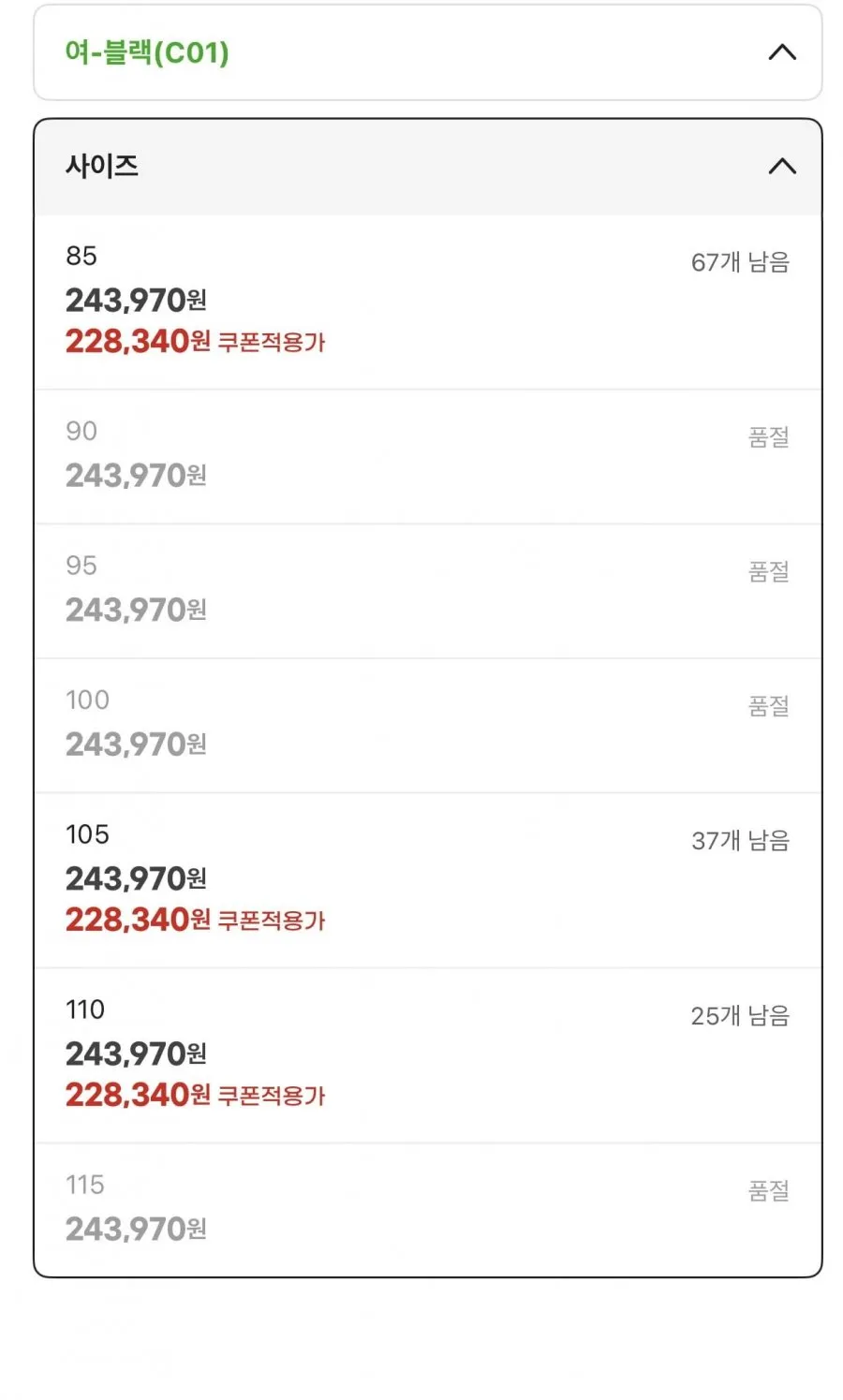 역시즌 아르테 고어텍스 프리미엄 롱 구스다운