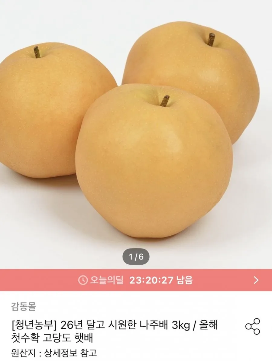 나주배 3kg
