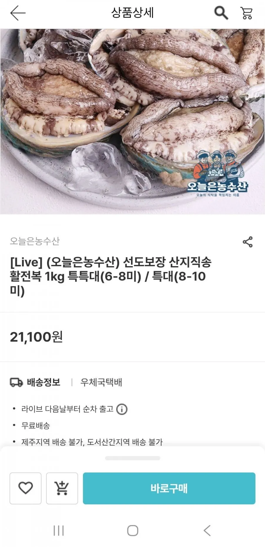 산지직송 활전복 1kg 8~10미