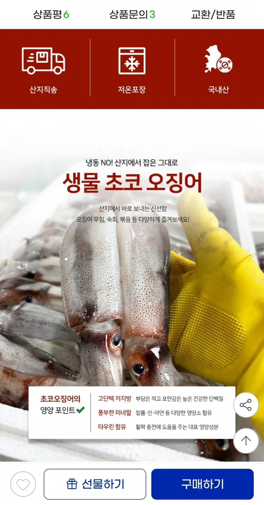 국내산 생물 초코 오징어 1kg (3-5미내외)