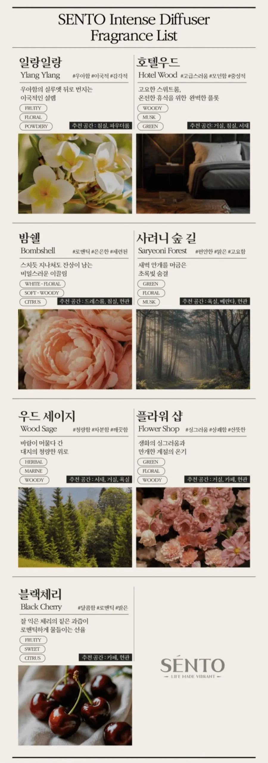 센토 인텐스 프리미엄 디퓨저 550ml 2개