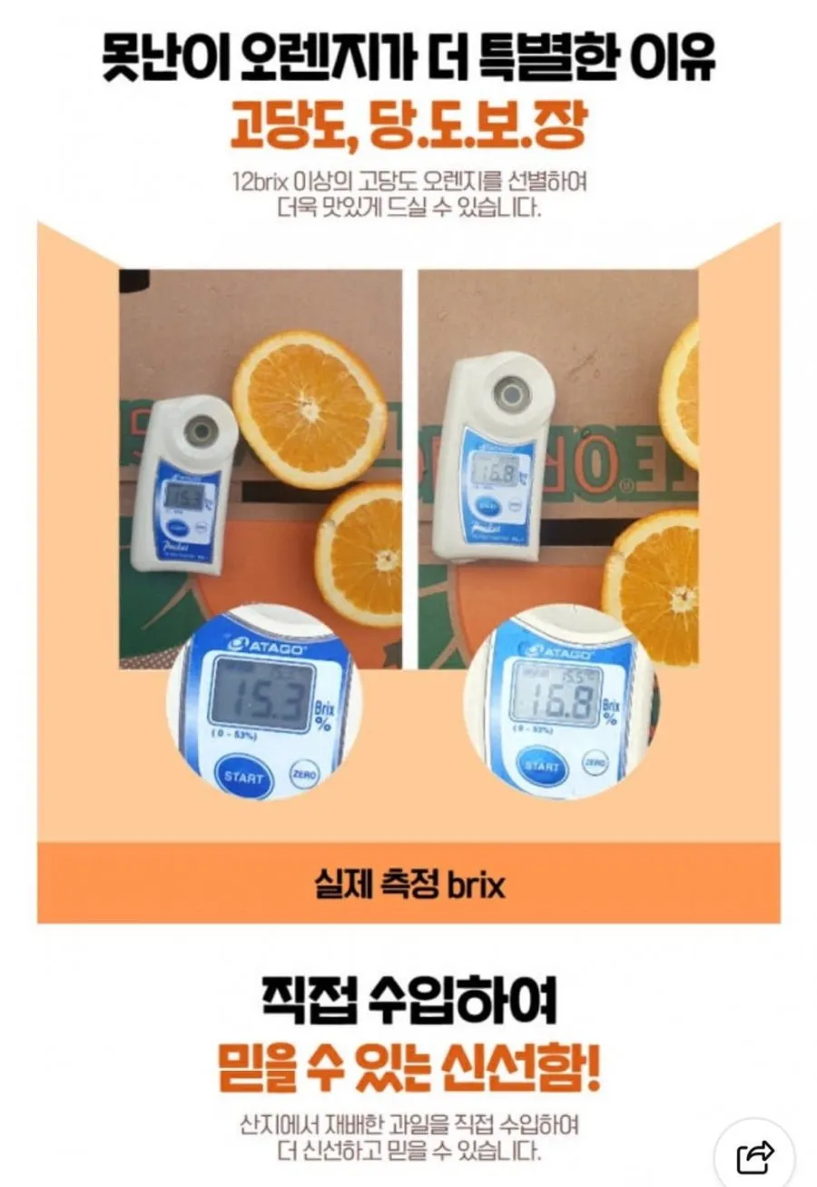 12브릭스이상 못난이 오렌지 중대과 8kg