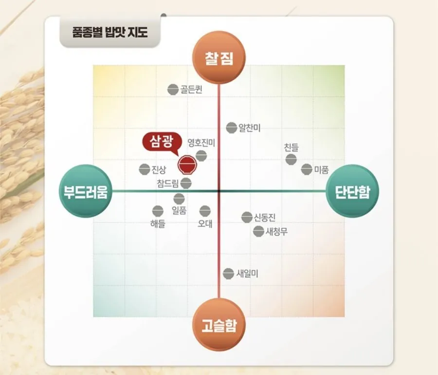 경주시 농협 이사금 쌀 10kg 상등급