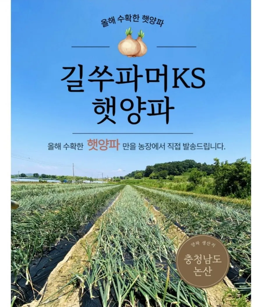 길쑤파머KS 국내산 햇양파 5kg 사이즈혼합
