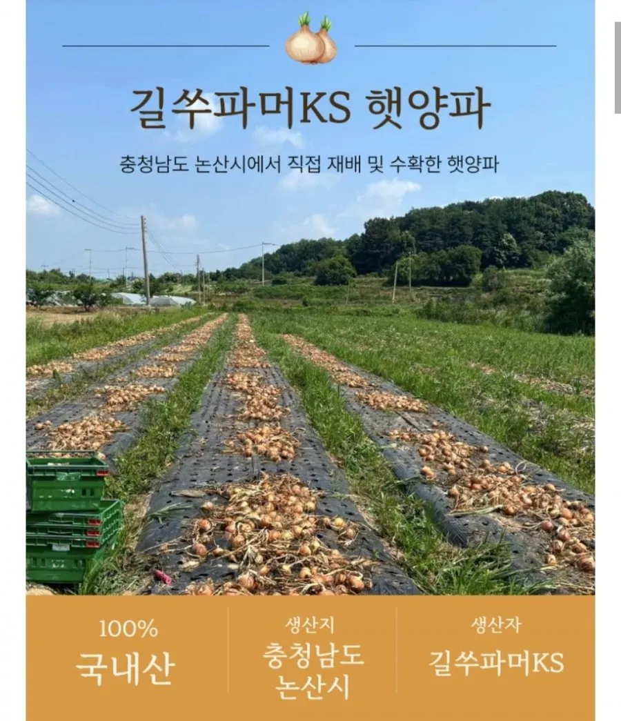 길쑤파머KS 국내산 햇양파 5kg 사이즈혼합