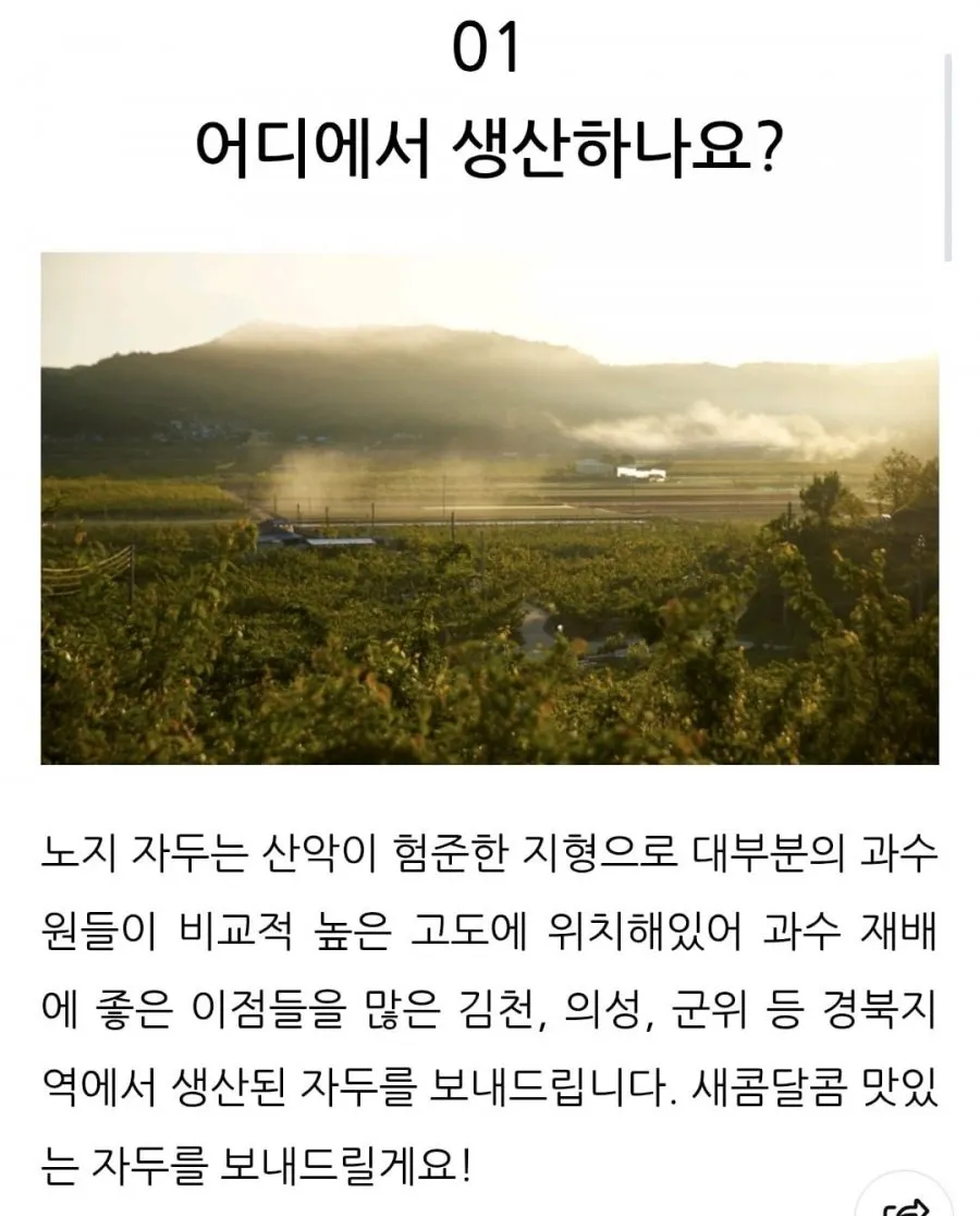 새콤달콤 프리미엄 대석 자두 1kg 국산