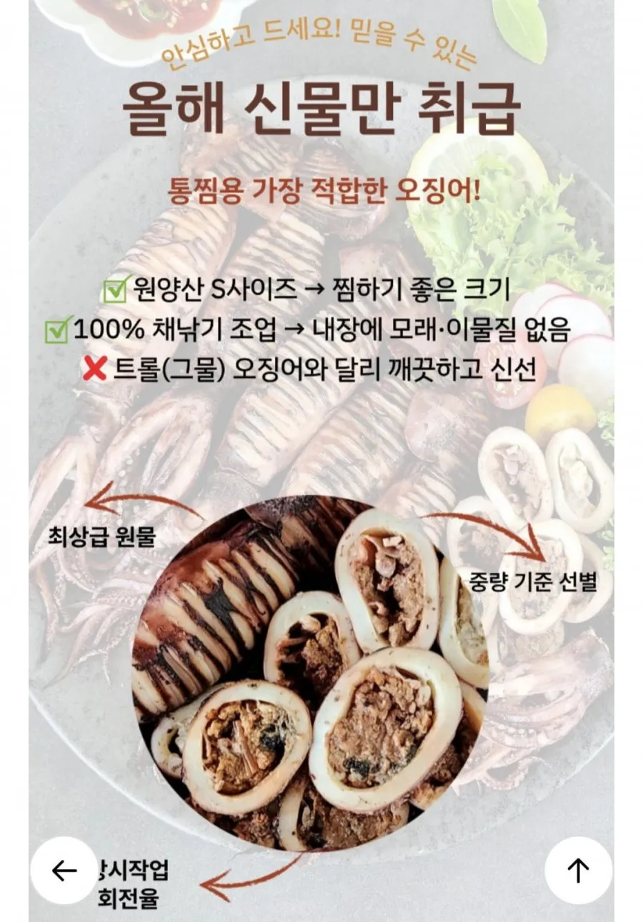 통찜용오징어 급냉 600g