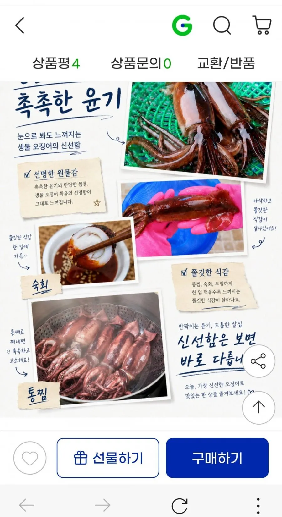 국산 생물 녹진 내장 오징어 1kg( 6-8미) 당일바리 초코오징어 통찜용