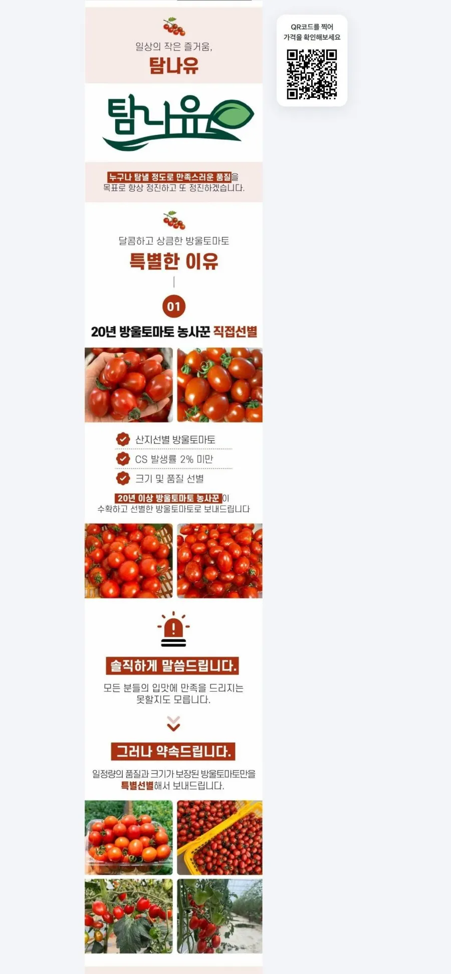 탐나유 국내산 방울토마토 2kg 6,900원/무배
