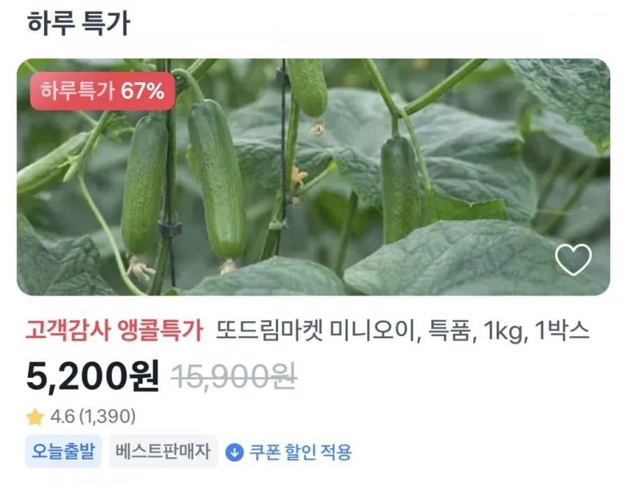 미니오이 특품 1kg