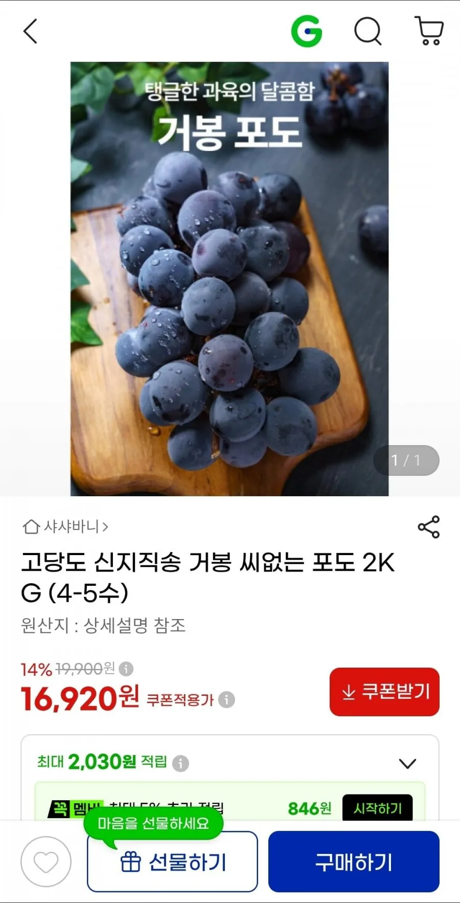 고당도 신지직송 거봉 씨없는 포도 2KG