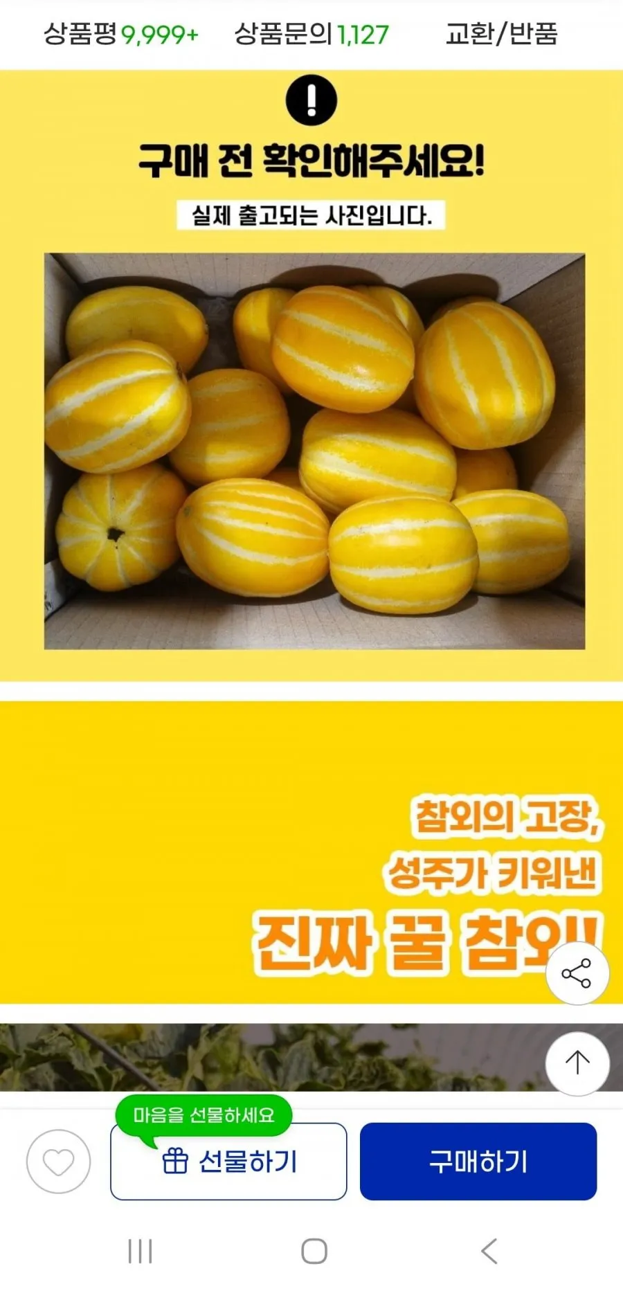 성주참외 고당도 10kg