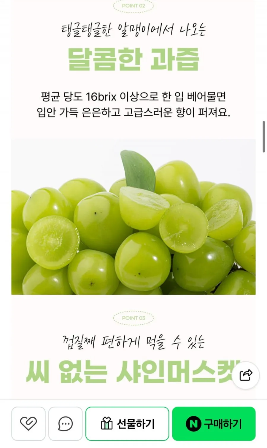 샤인머스켓 중과 1kg 2수