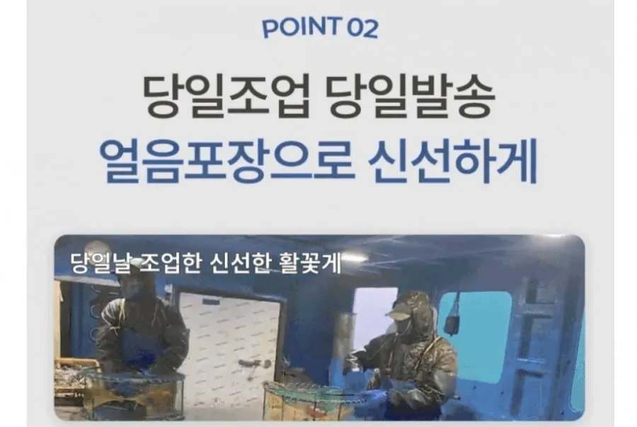 태안 제철 숫꽃게 1kg 3~5미
