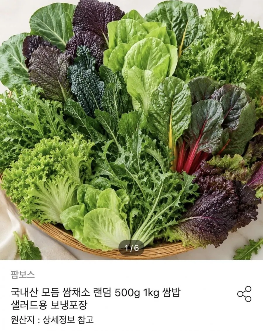 무농약 유러피안 샐러드 유기농 유럽쌈채소, 1박스, 1kg