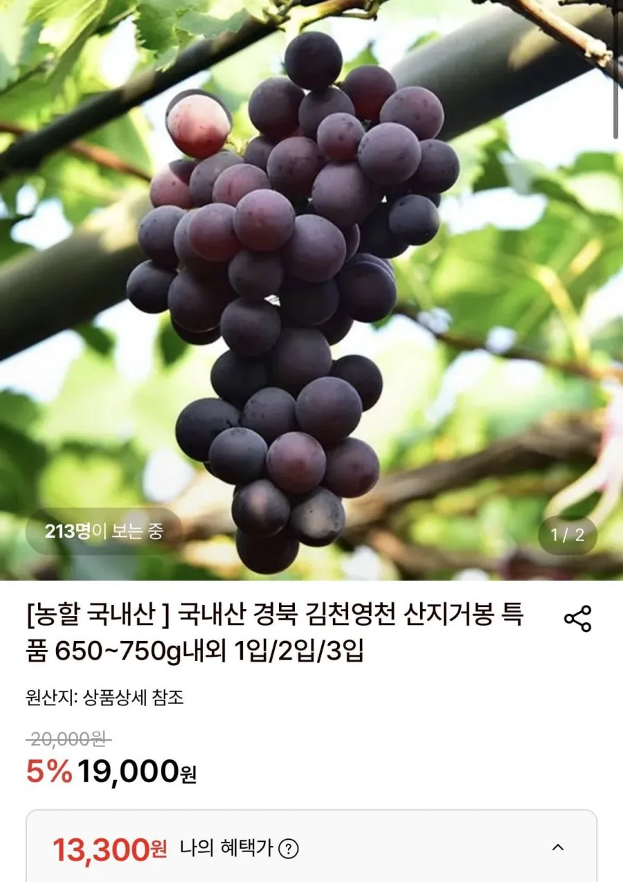 [풍부한과즙] 경북 거봉 포도, 2~3수, 고당도 제철포도 산지직송 거봉, 1박스, 1kg