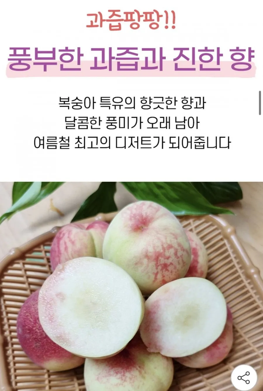 고당도 딱딱이 복숭아 4kg