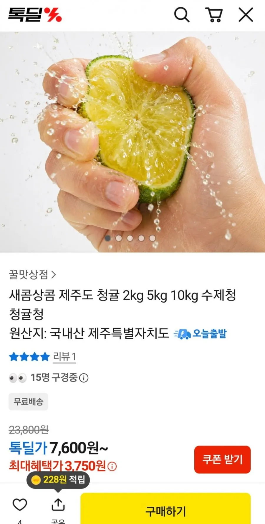 새콤상콤 제주도 청귤 3kg