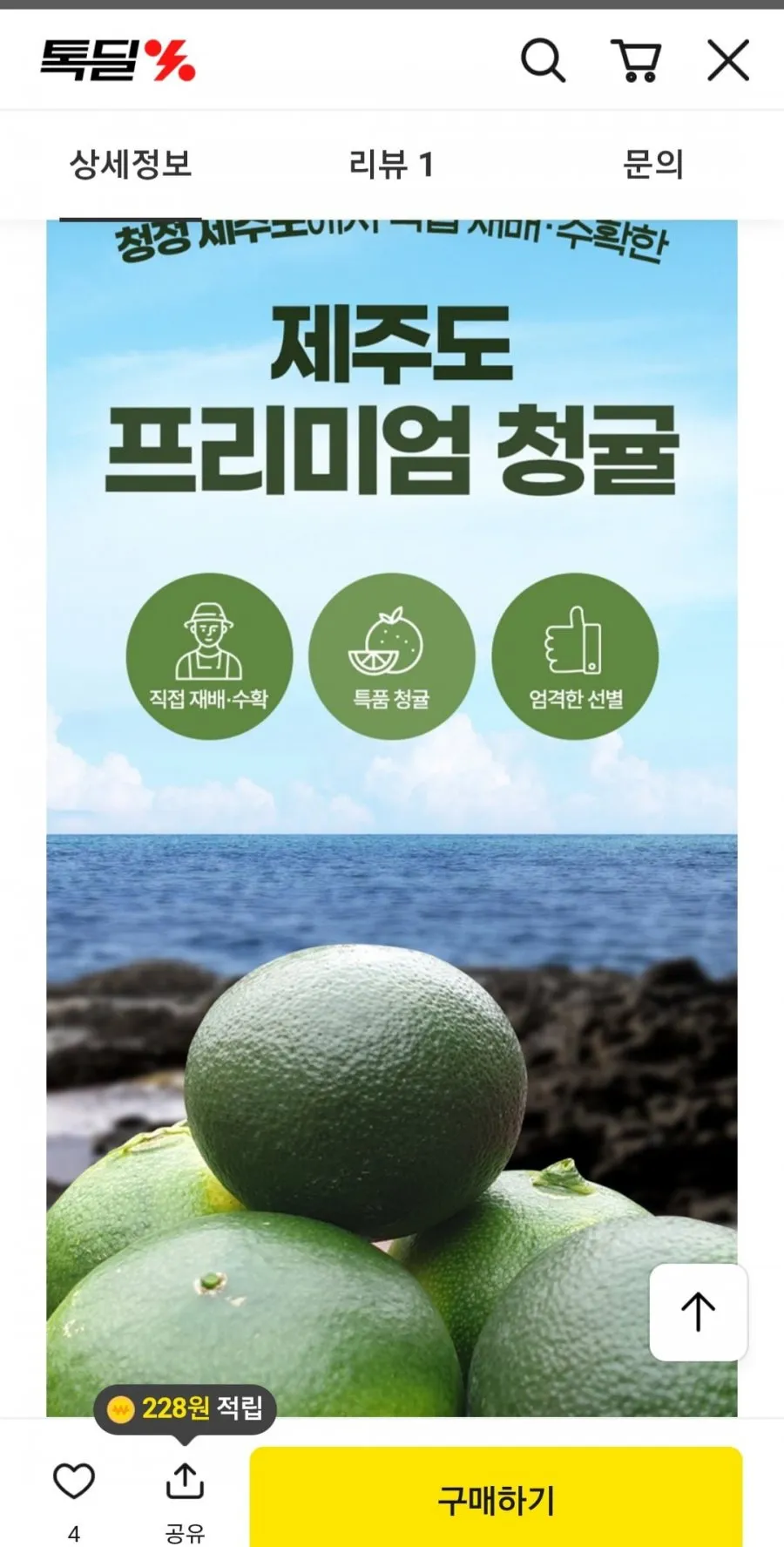 새콤상콤 제주도 청귤 3kg