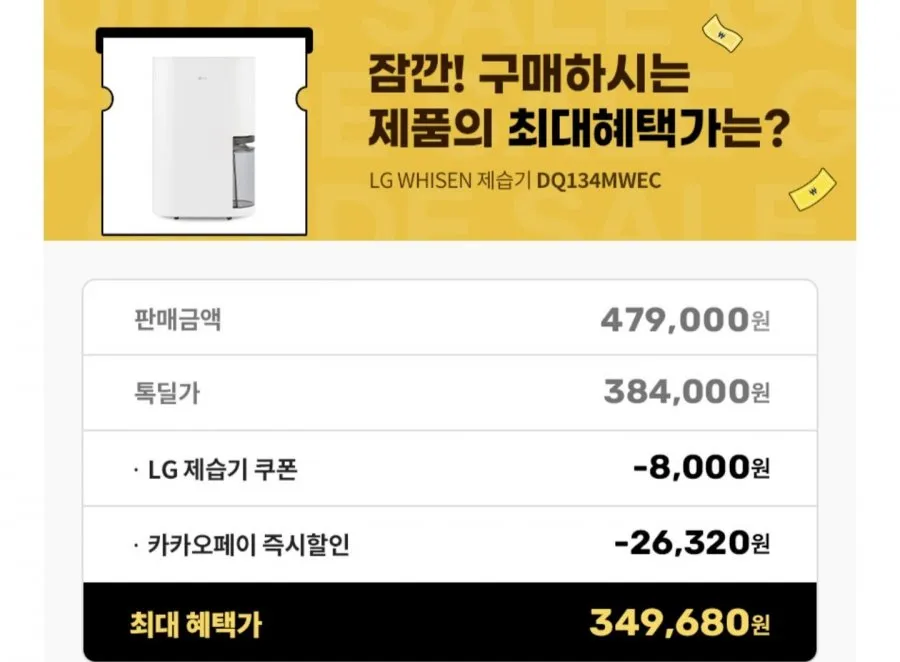 LG 휘센 제습기 13L DQ134MWEC