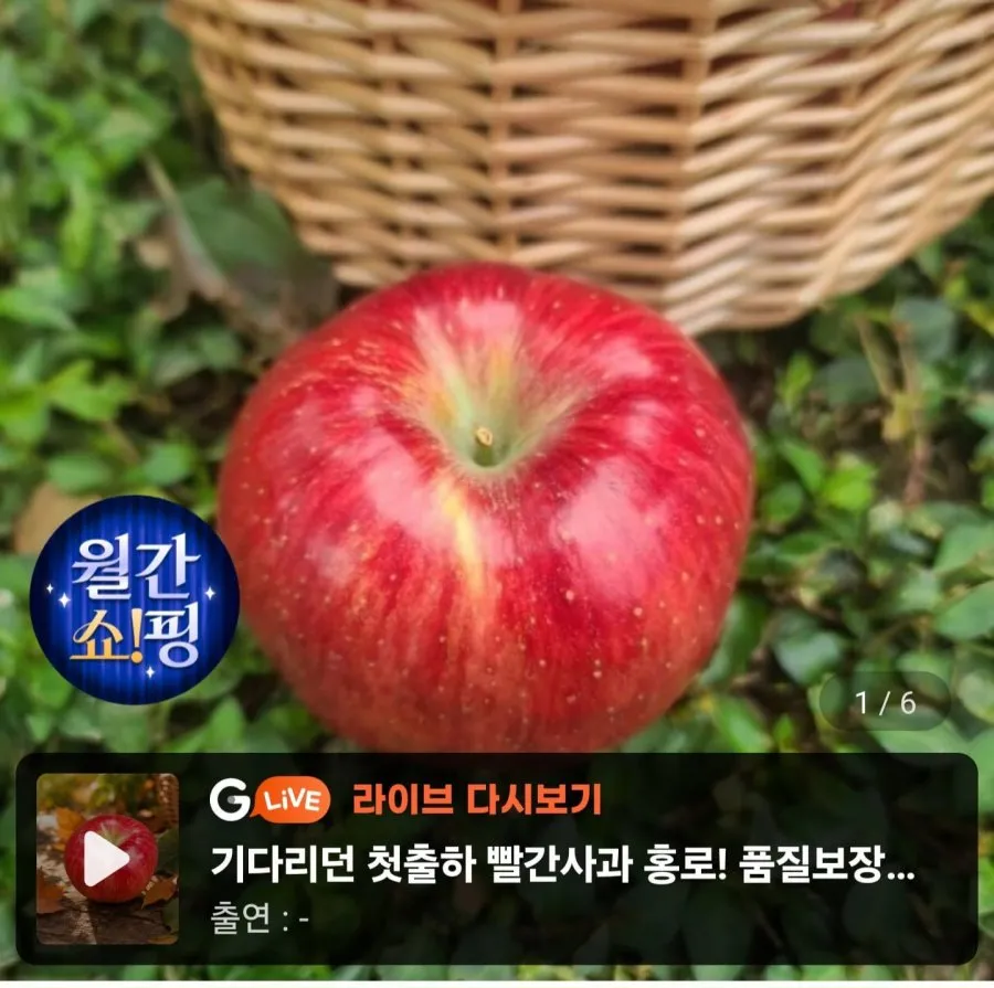 정성담은 신선보장 꿀맛보장 고당도 가정용 홍로사과