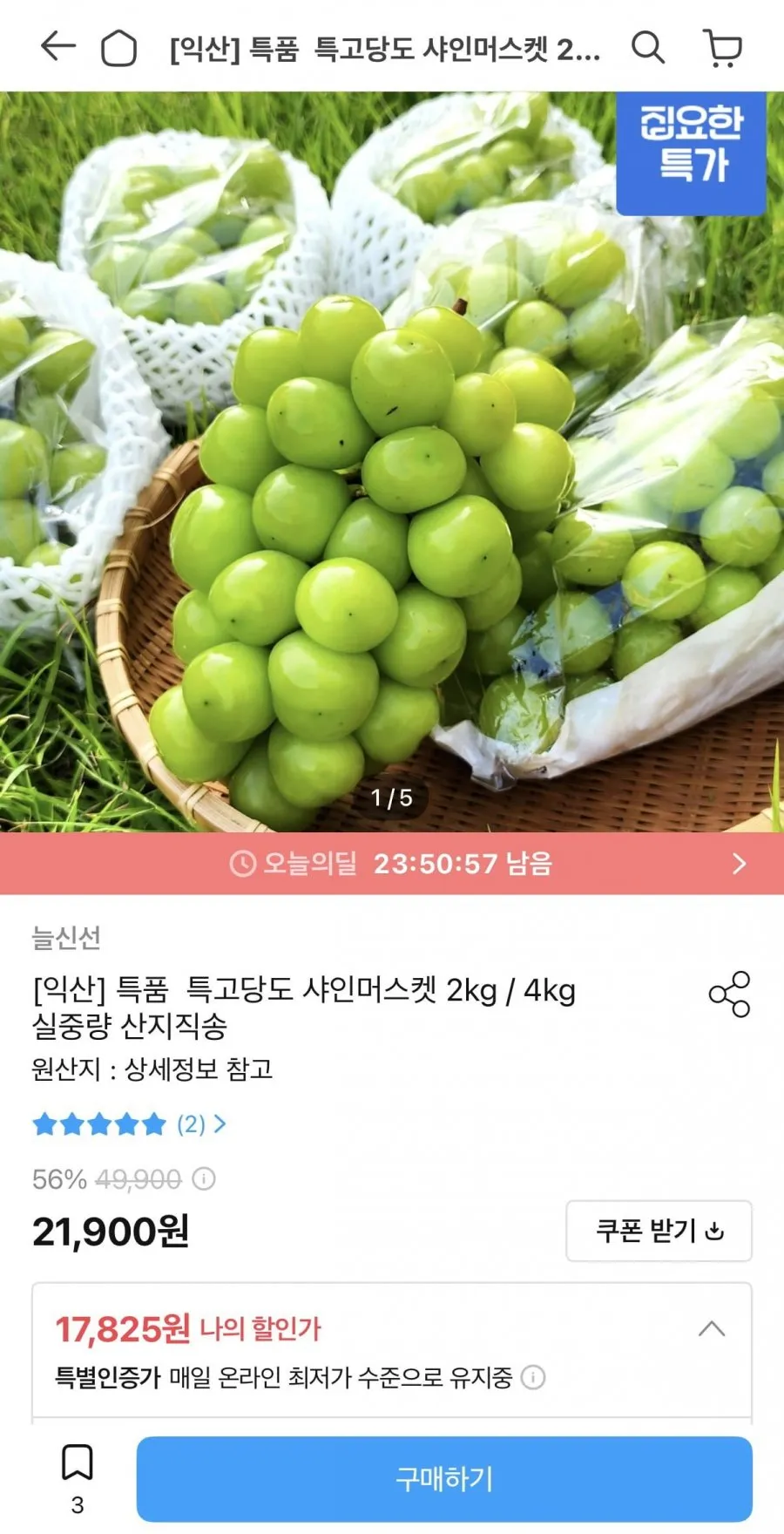 농협 망고포도 샤인머스캣 선물세트 2kg내외(특품/3-4수)