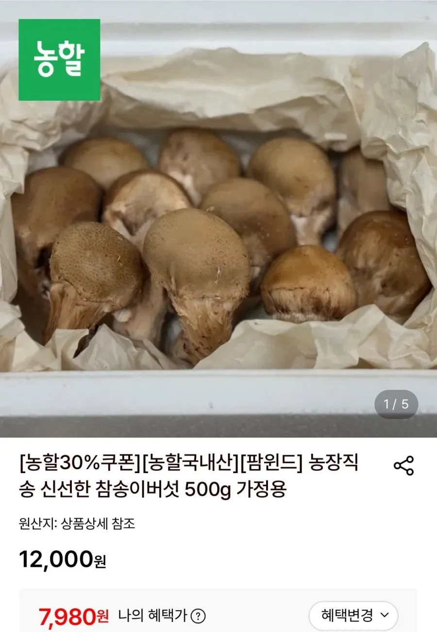 [재구매1위] 국내산 가성비 초특가 참송이버섯 (가정용/선물세트)