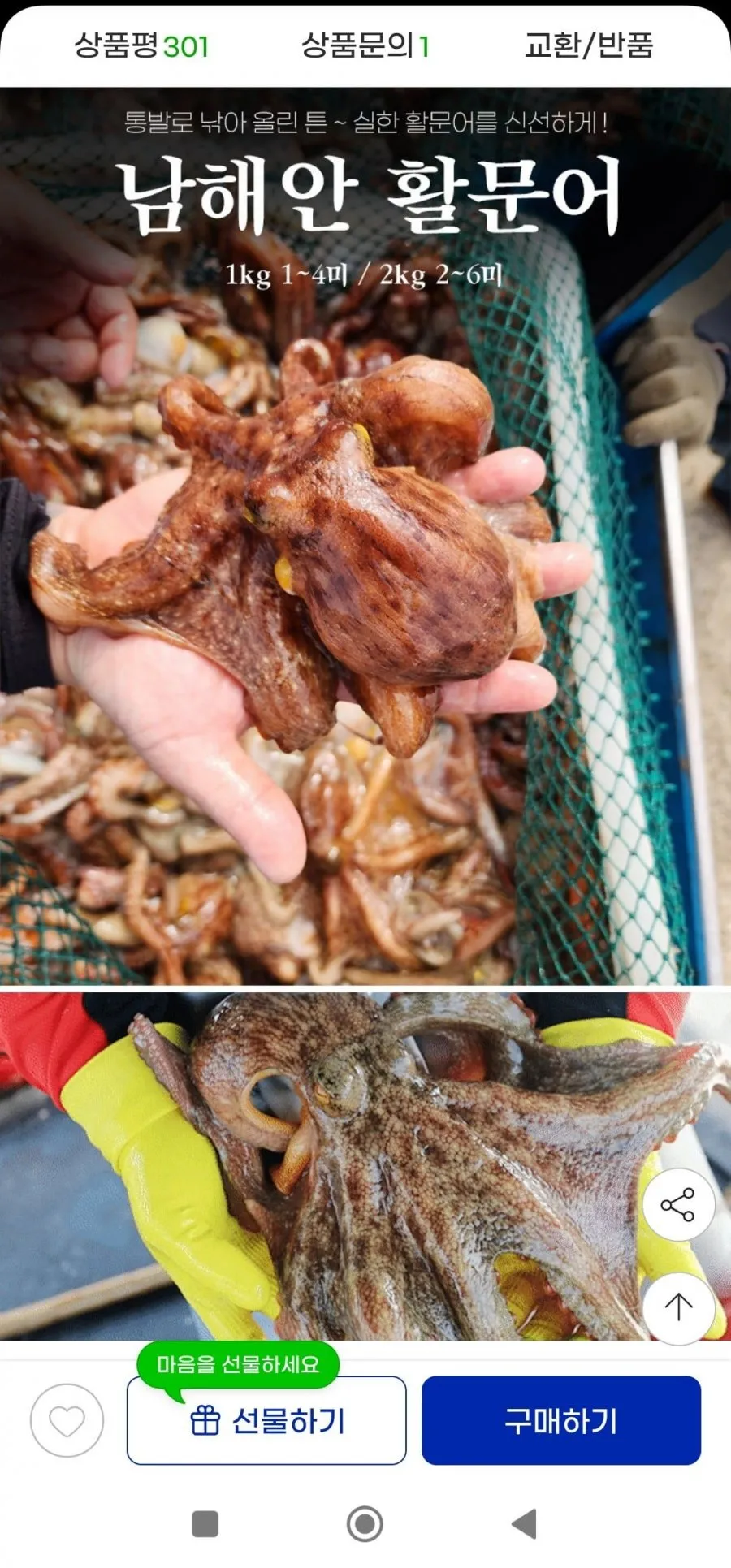 남해안 돌문어 1kg