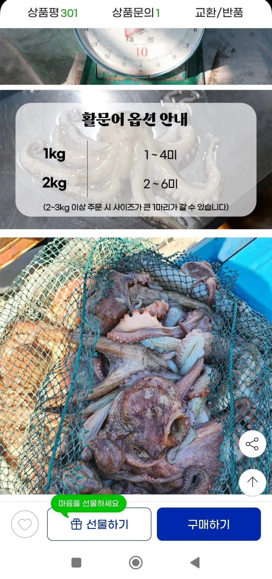 남해안 돌문어 1kg