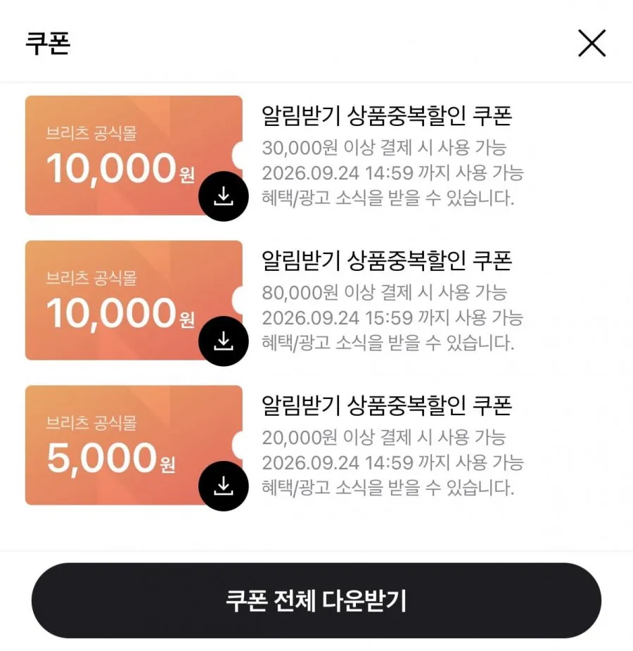 브리츠 오픈이어링 이어폰 + 전용 충전기