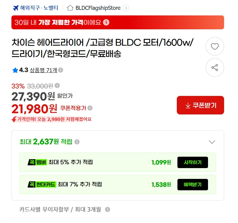 차이슨 헤어드라이어 고급형 BLDC 모터