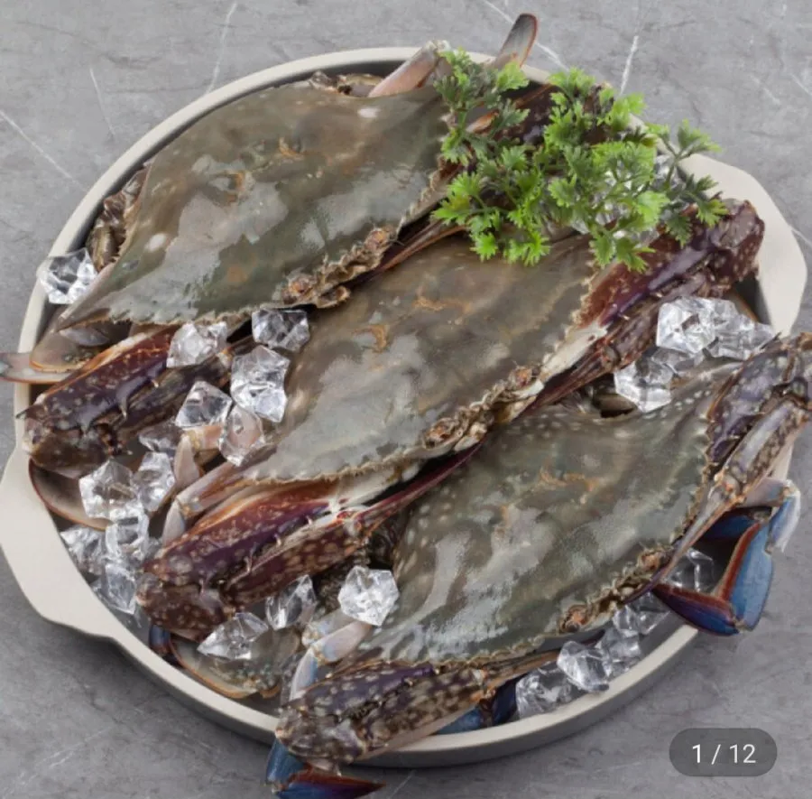 2026 출하 제철 활 꽃게 산지직송 서해 국내산 활 숫꽃게 생물 숫꽃게 직발송 1kg 2kg 3kg, 1개, 활 숫꽃게 1kg