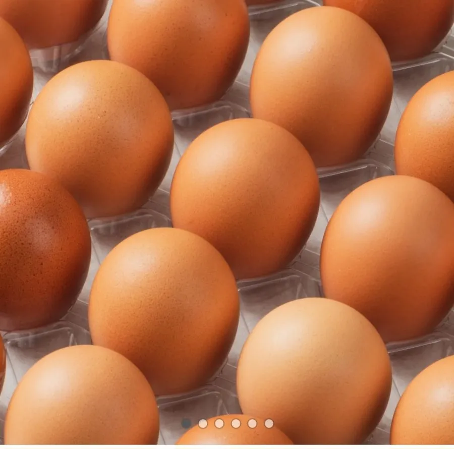 셰프의계란 무항생제 무정란 특란 국산 HACCP 인증 신선계란