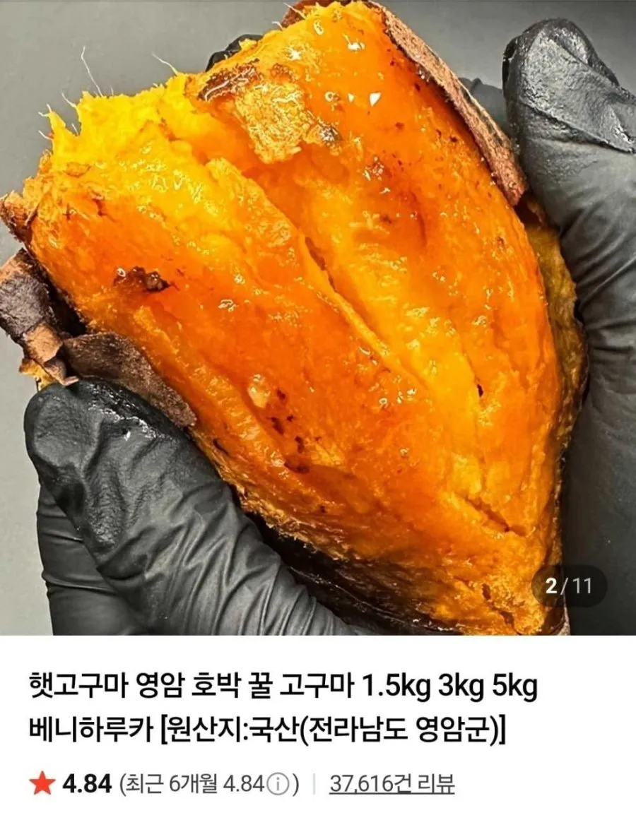 햇 호박고구마 1.5kg 한입