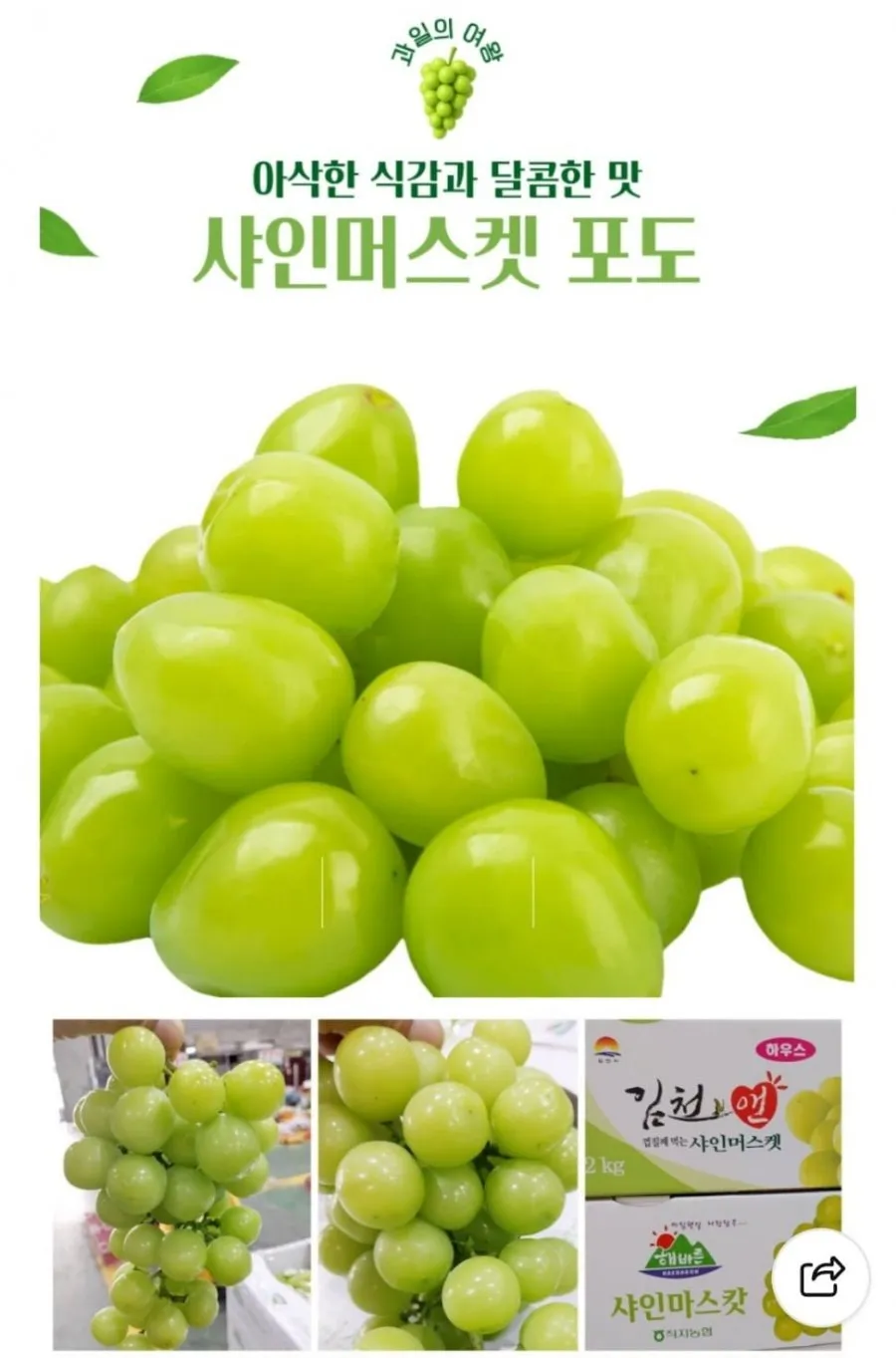 김천 샤인머스켓 4kg