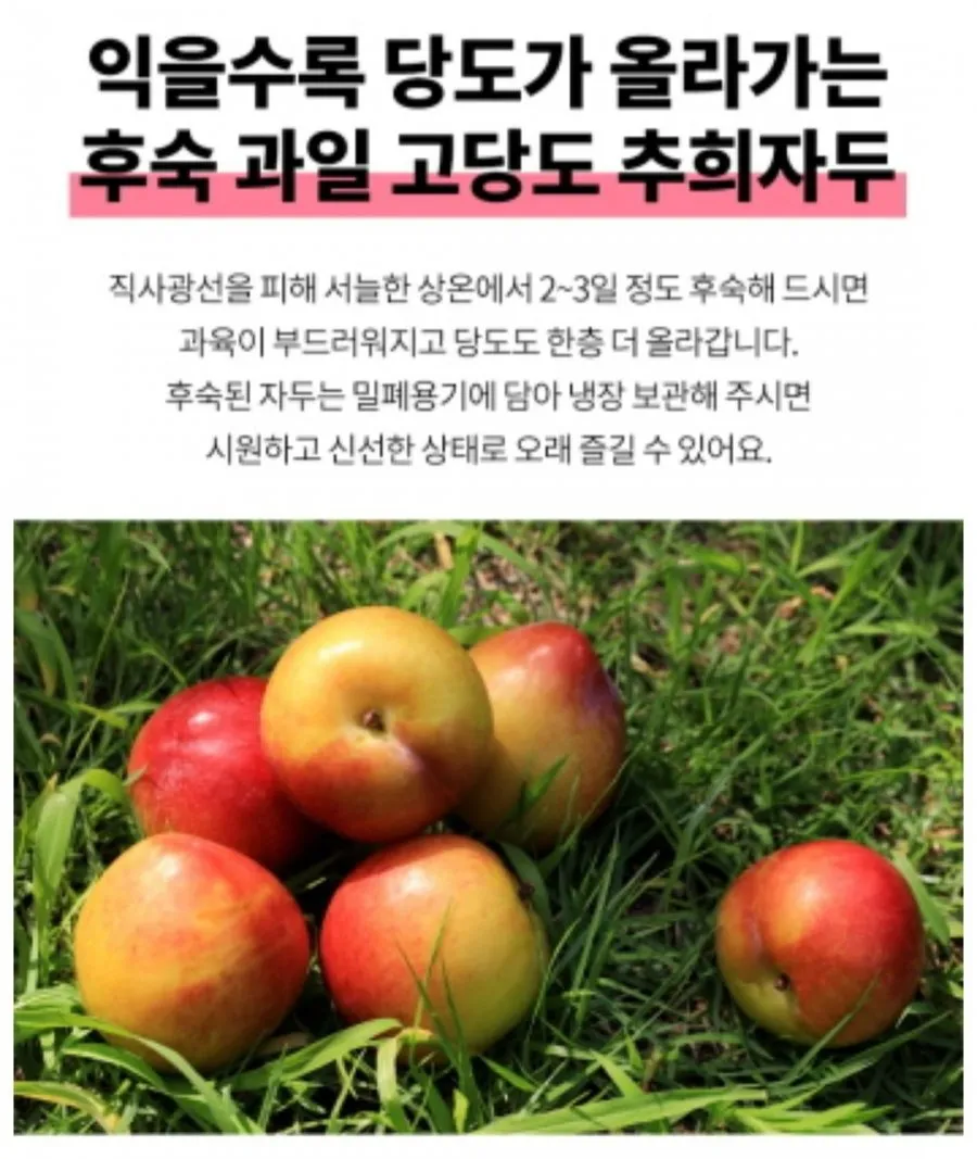 [재구매율1위] 경북 고당도 포모사 후무사자두, 1박스, 5kg (왕특)