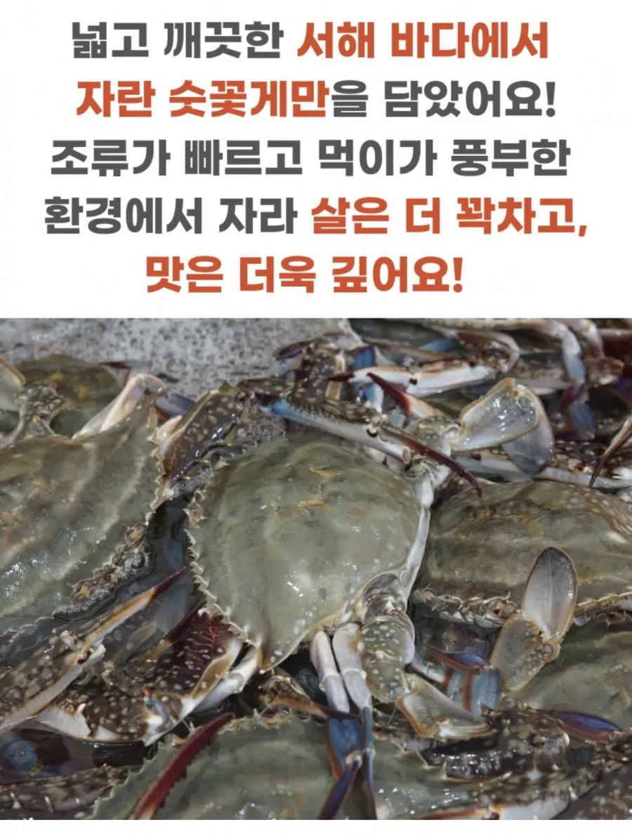 국내산 활꽃게 숫꽃게 2kg 8~12미