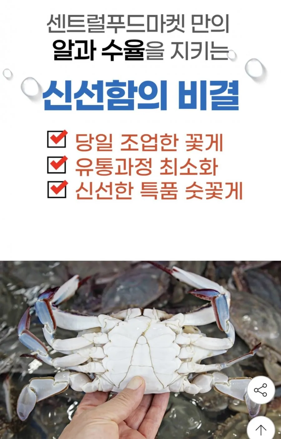국내산 활꽃게 숫꽃게 2kg 8~12미