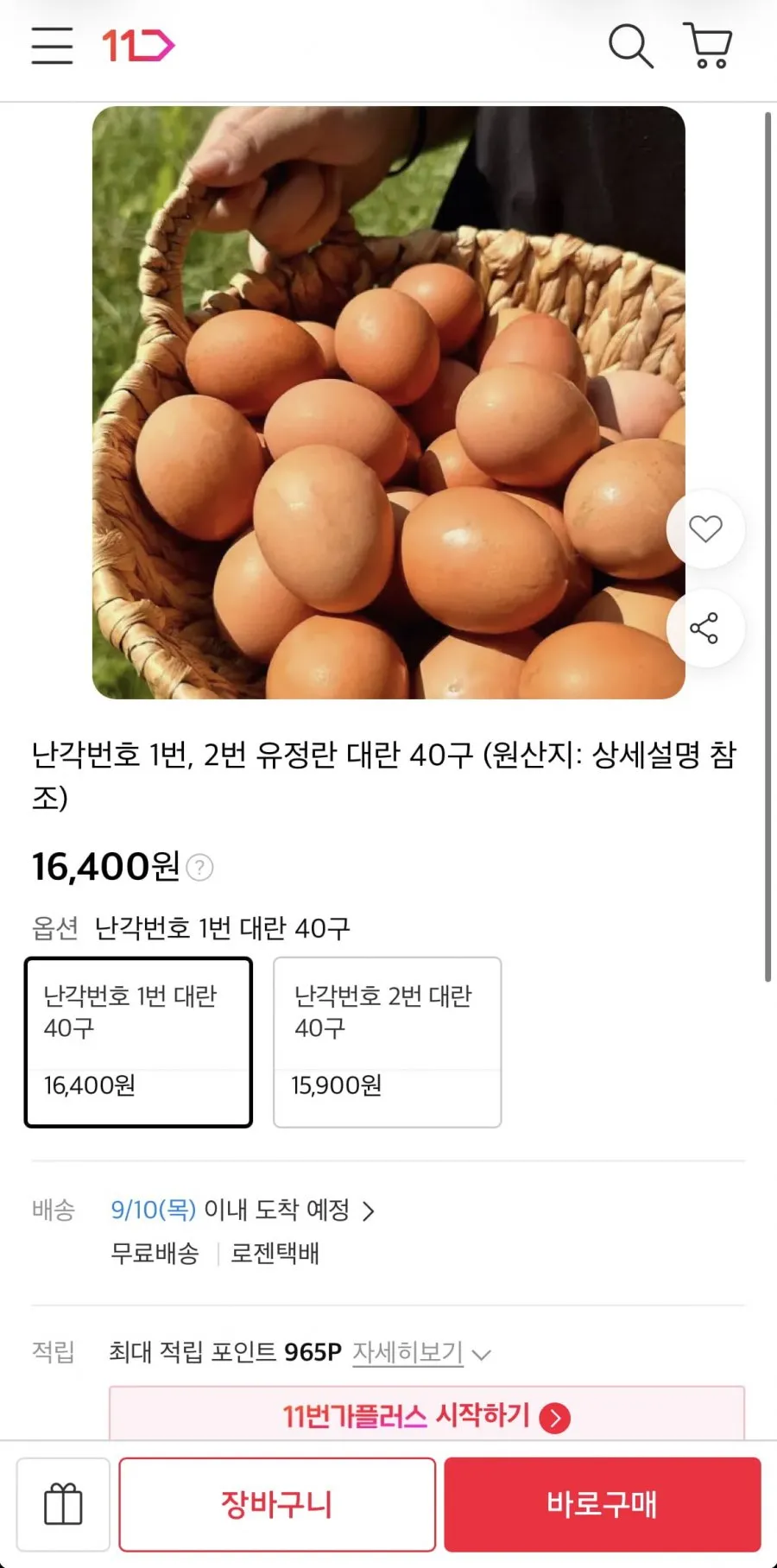 G)유정란 40구(난각번호1번) 무항생제 자연방사 대란 계란 달걀