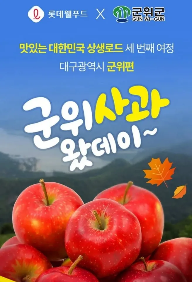 롯데X군위사과 4종 4개 혼합구성(몽쉘+롯데샌드+아몬드볼+꼬깔콘)