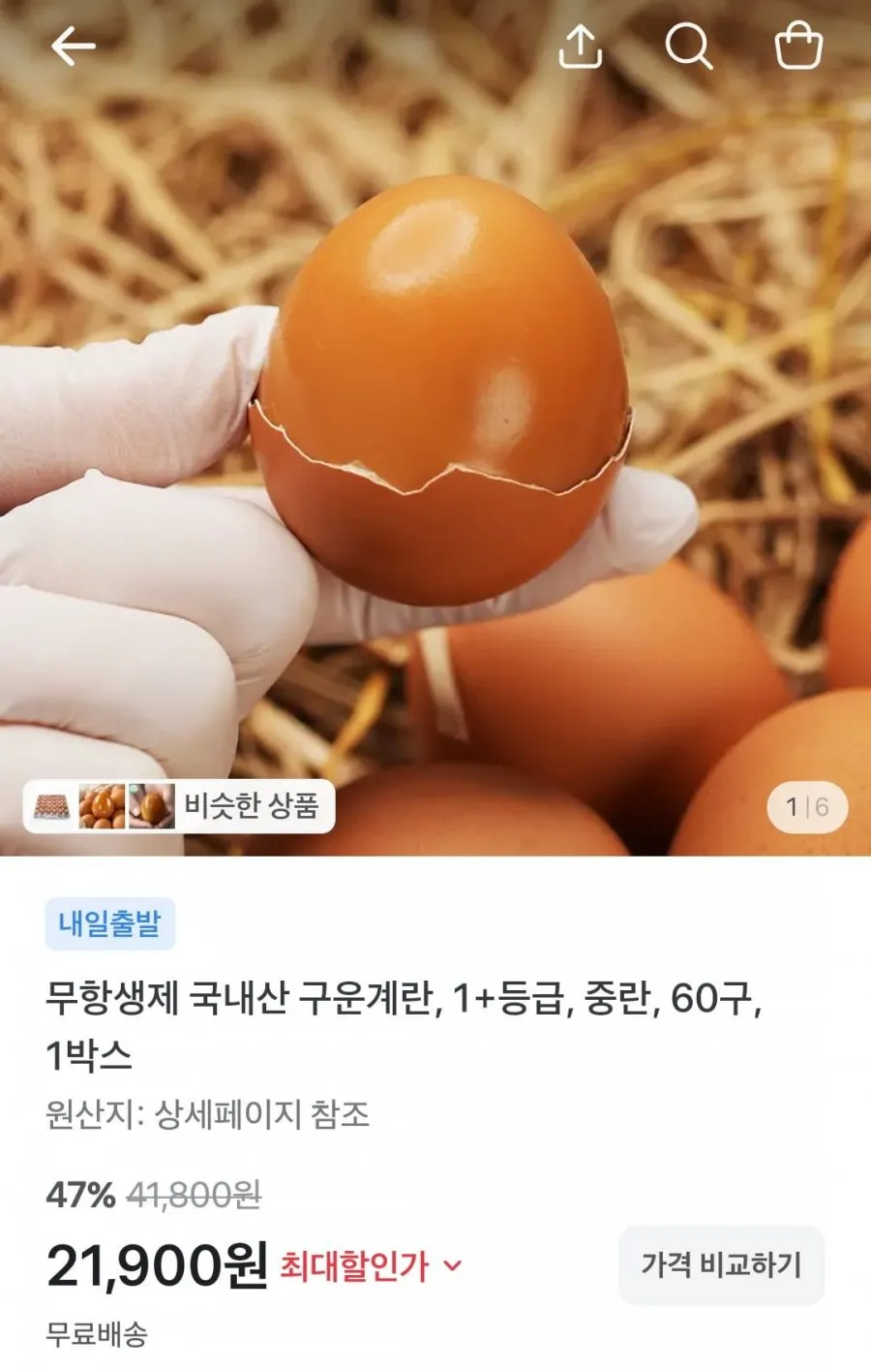 [싱싱이네] HACCP 구운계란 무항생제 구운란 파손보장, 1개, 60구