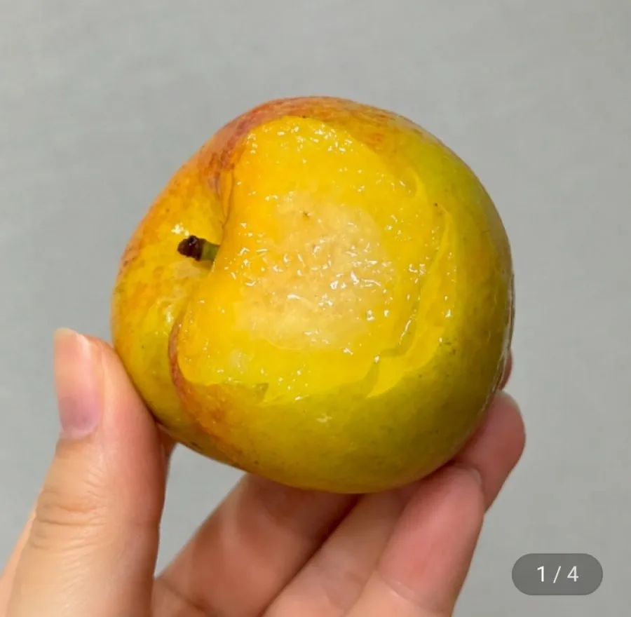 [이노청과] 새콤달콤 후무사 자두 과일 1kg 2kg 5kg 국내산 대과 여름 제철과일 신선배송, 1개, 자두 가정용,소과 5kg